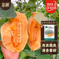 北蔬 留翠哈密瓜种子 100粒