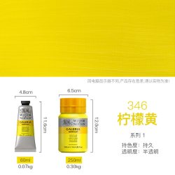 温莎·牛顿 温莎牛顿画廊丙烯颜料手绘墙绘哑光丙烯60/250ML套装美术专用画DIY艺术颜料防水不掉色 金色钛白色学生专用