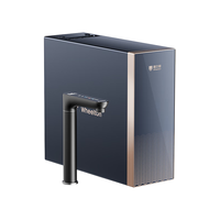  WHEELTON/惠尔顿 0陈水0双酚A 厨下净水器