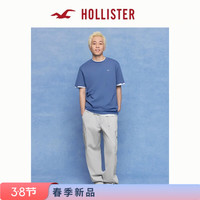 HOLLISTER 小海鸥图案基础款运动短袖T恤26春新款男装324-6088