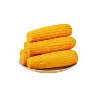 刘老杆 非转基因东北黄糯玉米8-13根1760g/箱