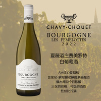  乐忘尘 干白葡萄酒