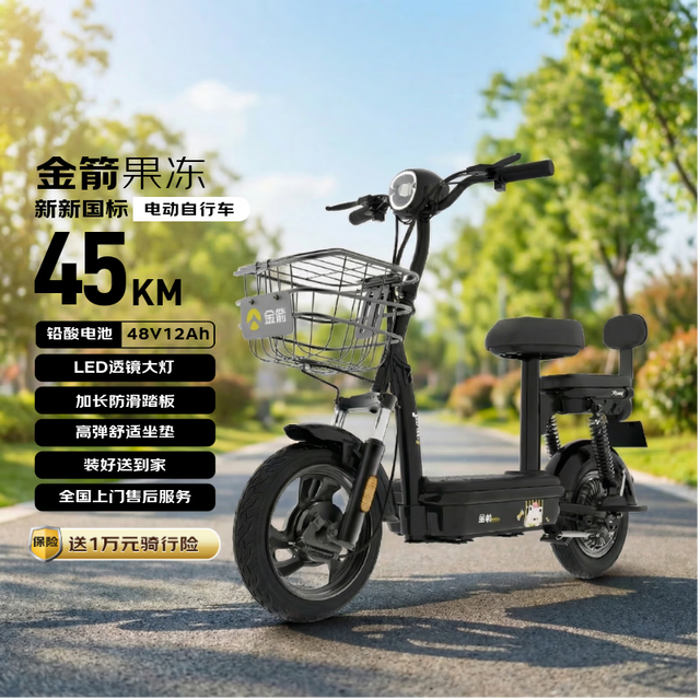 金箭 2026新新国标电动车 醇黑色