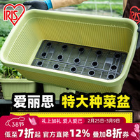 爱丽思 阳台菜盆家庭蔬菜种菜盆箱室内长条花盆塑料种植 深型700绿色