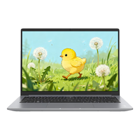 ThinkPad/思考本 独显级显卡 笔记本电脑