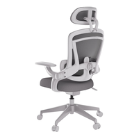  HENGLIN/恒林家居 透气护腰 人体工学椅