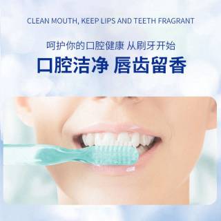 CRHOT草本三七清新口气去黄洁净牙膏 90g*4支
