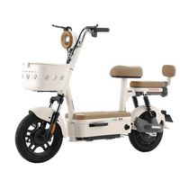  LUYUAN/绿源 长续航 电动自行车