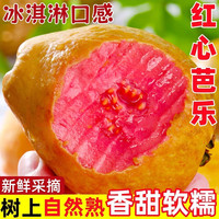 CLCEY 福建漳州 冰淇淋 红心芭乐 番石榴 5斤装 单果150g+