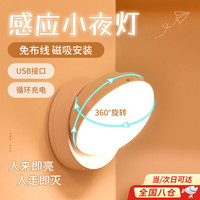 昙蓓漫 楼梯感应灯充电家用节能小夜灯声控楼道感应灯白光