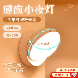 昙蓓漫 楼梯感应灯充电家用节能小夜灯声控楼道感应灯白光