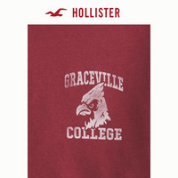  HOLLISTER/霍利斯特 复古 男士连帽卫衣