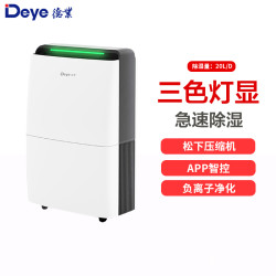 Deye 除湿机家用 DYD-X20A3 APP智能轻音20L/天负离子净化 别墅客厅卧室工业地下室除湿器