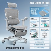  Ergonor/保友办公家具 久坐 人体工学椅