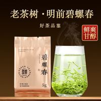 骏江南 碧螺春 明前绿茶茶叶礼盒品鉴装5g