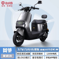 今日必买：台铃 风驰 电动摩托车 72V1Ah