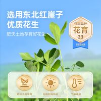  薛记炒货 解馋零食 蒜香味花生