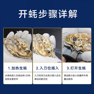  百鲜洽 鲜活 生蚝