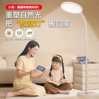 博朗尔 大路灯落地护眼灯全光谱台灯学习阅读灯床头灯钢琴灯立式书房灯