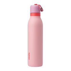 Owala 运动水杯不锈钢保温杯 FreeSip吸管杯嘴 防漏便携提手 洗碗机安全 成人健身旅行水壶 天使蛋糕色 709ml