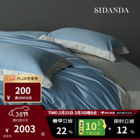 诗丹娜 100支进口匹马棉四件套床笠床单全棉套件简约轻奢纯棉床品 海桔蓝 床单款