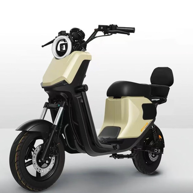 深远 新新国标深远GT1-轻享版10寸