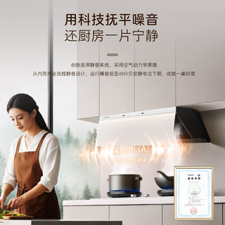 Casarte 卡萨帝 小炫风Max2.0系列 CXW-358-CDY5UltraUD(海盐白) 顶侧双吸吸油烟机 海盐白