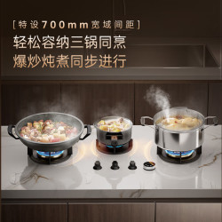 杜邦 JZT-DYB21 岩板三眼定时灶 天然气 烟灶联动套装