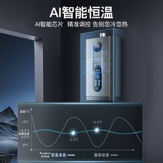 荣事达 JSQ30-HR5109 智能恒温 16L 天然气燃气热水器