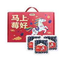 CLCEY 云南 蓝莓 6盒*100g 单果12-14mm