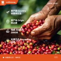 加！由咖啡 单一产地埃塞俄比亚 咖啡豆 454g