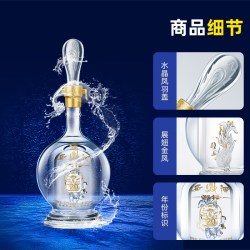 西凤酒 酒海窖龄 20年 52度 凤香型白酒 500ml*2瓶