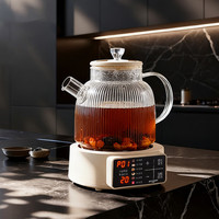 Peskoe/半球 全玻璃0胶水 养生壶 滤网 1.2L 滤网款