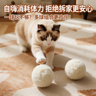  阿柴与猫 静音无声 猫咪玩具