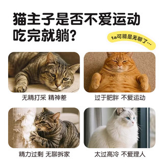  阿柴与猫 自嗨解闷 猫咪玩具 猫抓板 逗猫球