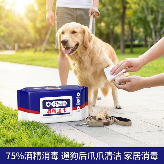 宠物消毒酒精湿巾75%一次性湿巾 80抽/包