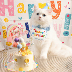 海伊朵 宠物生日帽猫咪狗狗生日派对装扮毛毡帽子可爱围兜口水巾装饰用品 生日帽子＋围兜