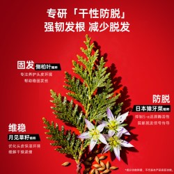 卡蓓诺 丰盈润养防脱发洗发水侧柏叶固发密发防脱洗发露液