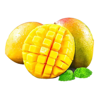  元珍鲜诚 时令生鲜 芒果 净重3斤装（单果300g+）