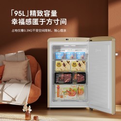 大宇 复古小冰箱家用小型迷你家用客厅冷藏冷冻冷柜冰吧95L