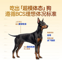 docile/豆柴 降火去泪痕 狗粮
