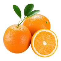  绿熊庄园 江西赣州直发 赣南脐橙