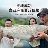  Jero/杰诺 超轻超硬 轻量大物竿