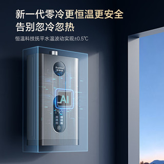 荣事达 JSQ30-HR5109 智能恒温 16L 天然气燃气热水器