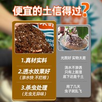 朵咔园艺 朵咔营养土养花种菜通用家用种多肉有机土壤育苗泥炭花土椰砖