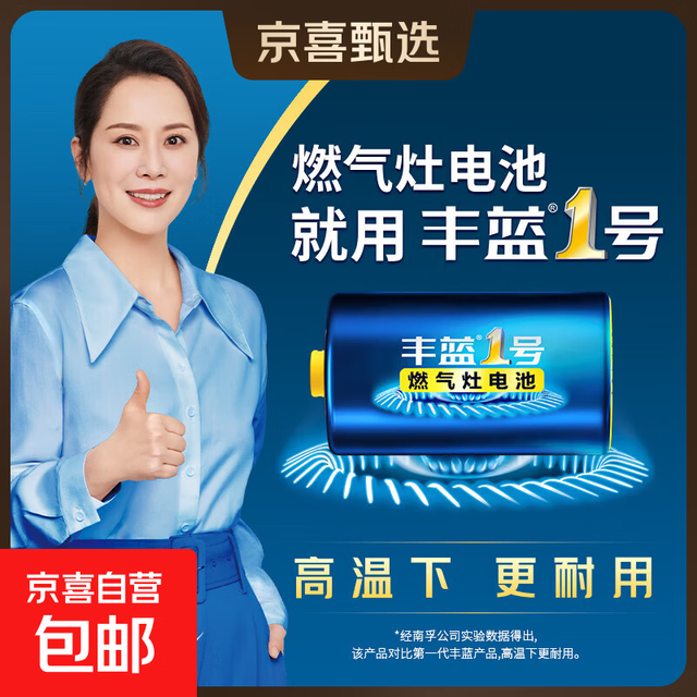 有券的上：丰蓝1号 燃气灶电池 R20P 1粒