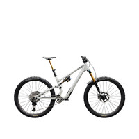 SPECIALIZED S-WORKSSTUMPJUMPER15DI2 山地车 碳纤维 禧玛诺 多速别