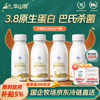 移动端、京东百亿补贴：华山牧 鲜牛奶 250ml*10瓶 3.8g蛋白