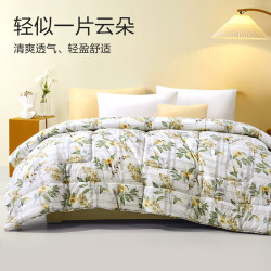 富安娜 抑菌七孔纤维被芯（四级被）七孔抗菌 152cm*210cm