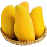  三萌果蔬 软糯香甜 金煌芒果